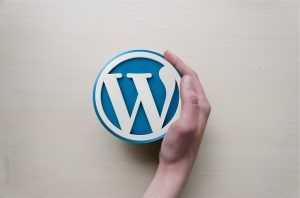 plugins en wordpress